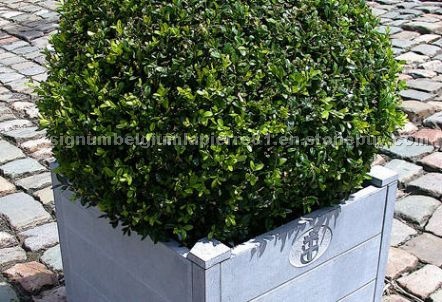 Garden Stone, Decorative Stones