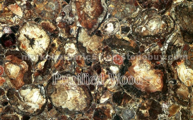 Petrified Wood Semi Precious Stone