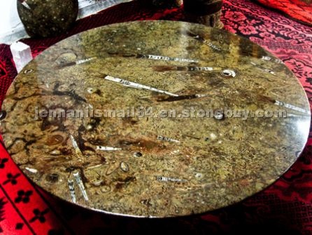 Fossilized table