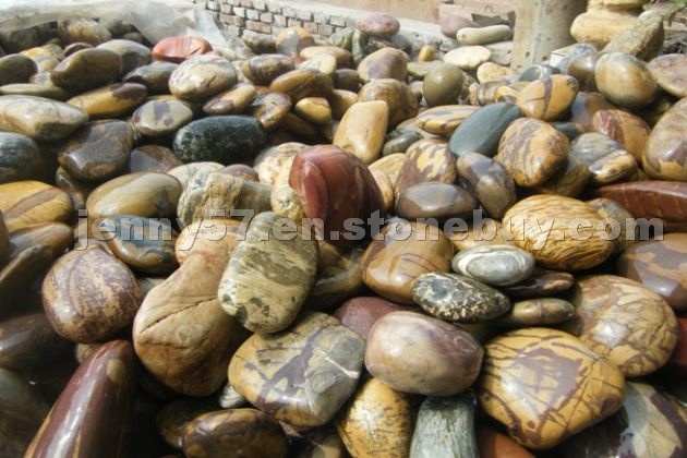Natural Fossil Garden Stone