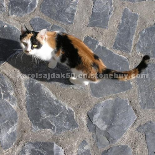 Black Slate Flagstone