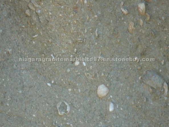 Fossilized Limestone