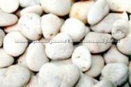 White Pebble Stone