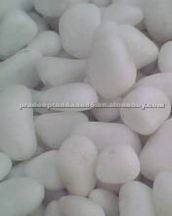 WHITE PEBBLES