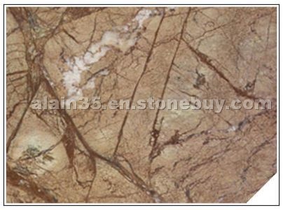 Rain Forest Brown