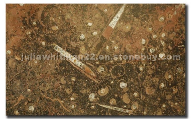 Fossil Brown Marble
