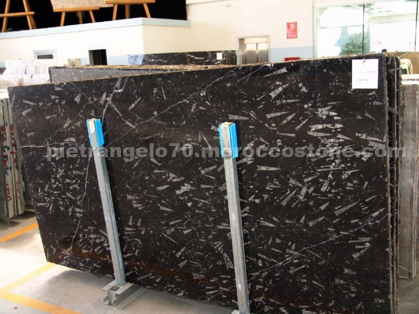 Nero Fossile