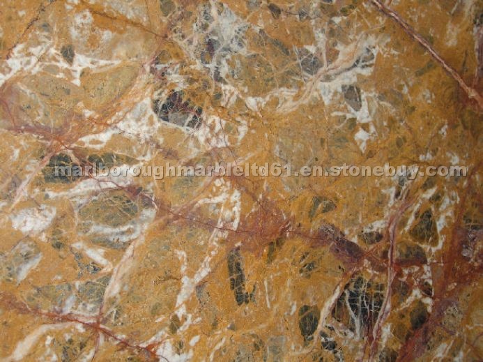 Breche Meduse Marble