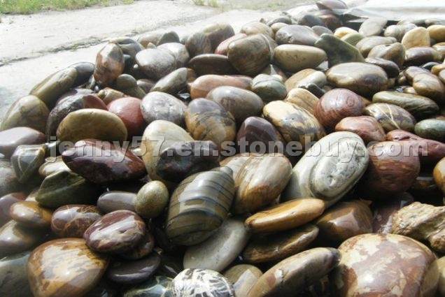 Natural Fossil Garden Stone