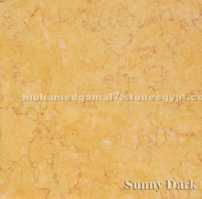 Sunny Dark Marble