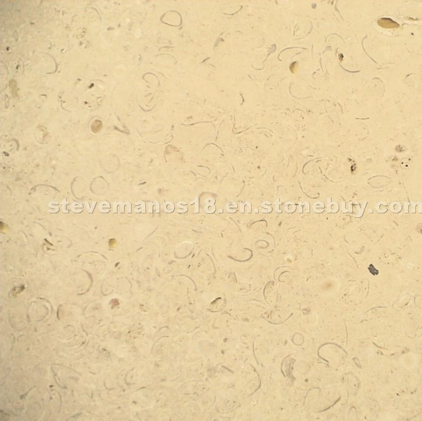 Coquina Shellstone