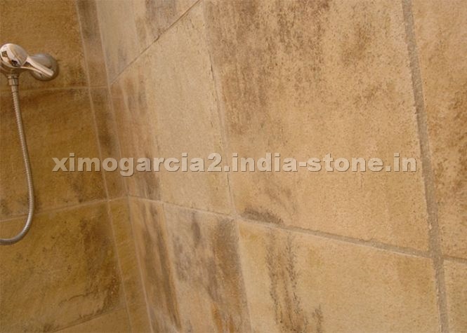 Indian Fossil Sandstone
