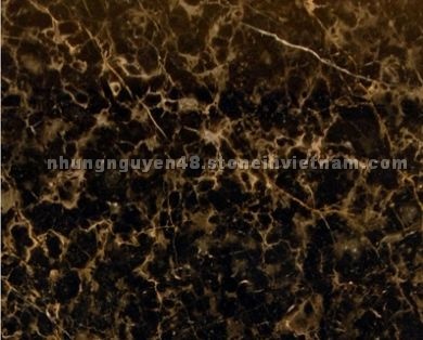 UNS Dorato Leopardo 01