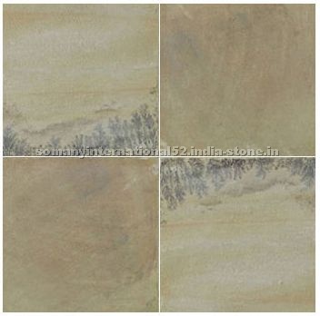 Mint Fossil Sandstone