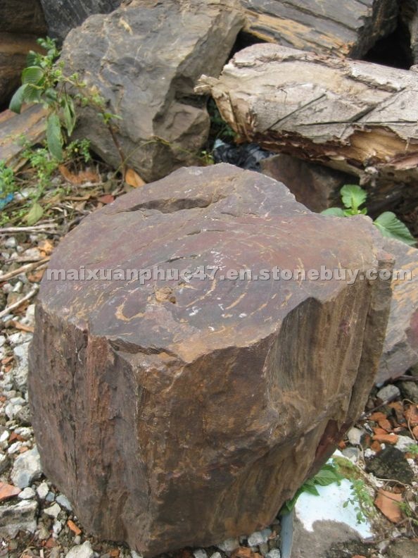 Tree Stone of Viet Nam