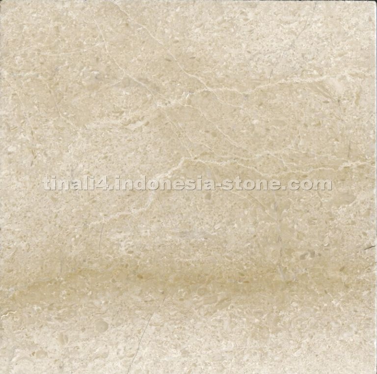 Disco Beige