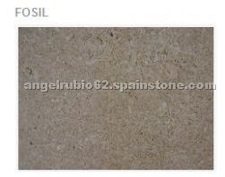 Fossil Limestone
