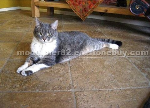 Travertine Noche Tumbled