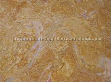 Amarelo de Negrais limestone