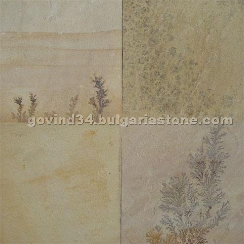 Fossil Mint Sandstone