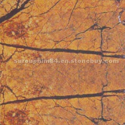 Rainforest Gold