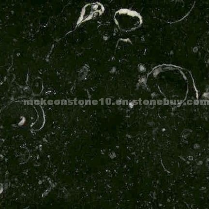 Kilkenny Black Fossil