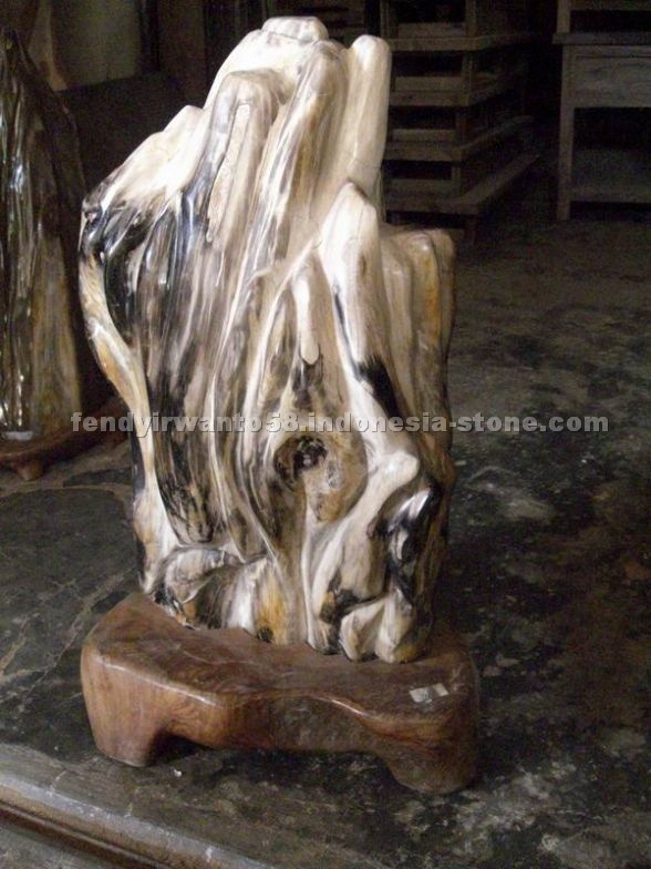 Petrified Wood