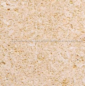 Amarelo Fossil de Poro Aberto Limestone