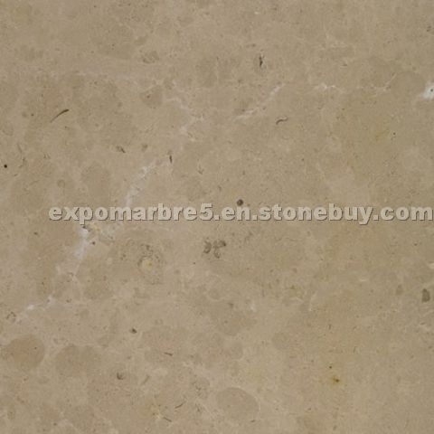 Hauteville Limestone