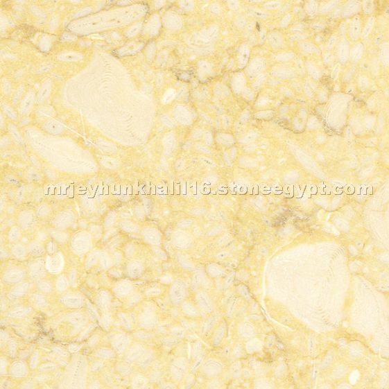 Sunny Dark Marble
