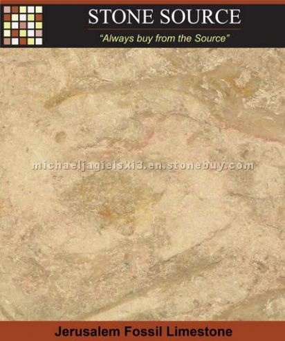 Jerusalem Fossil Limestone
