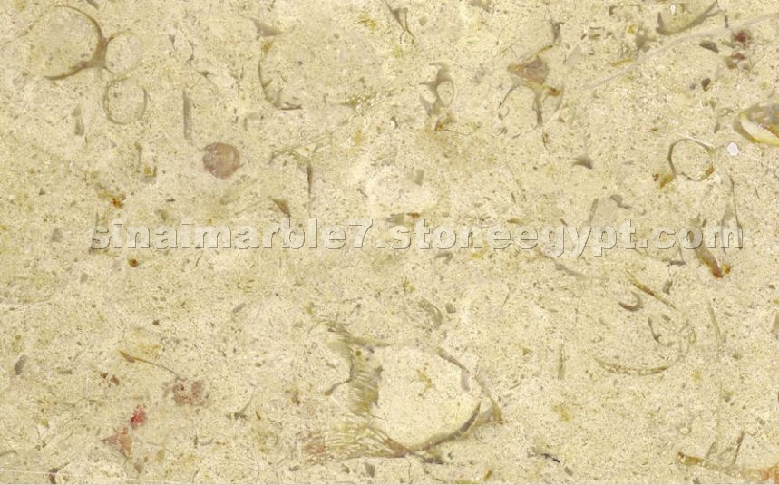 Perlato Royal limestone