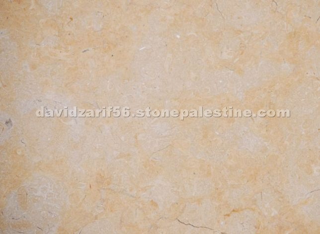 Ramon Gold Limestone