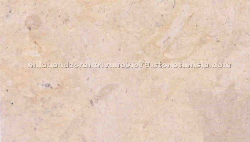 Thala Beige Limestone Tiles