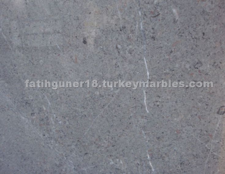 Casserian Grey