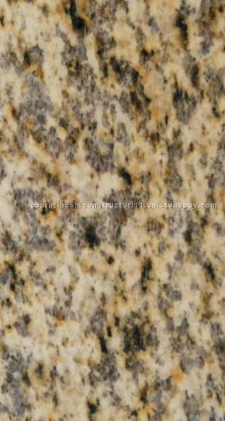 Granite Tiger Skin