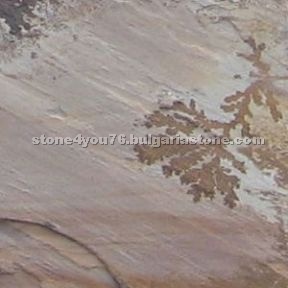 Fossil Mint Sandstone