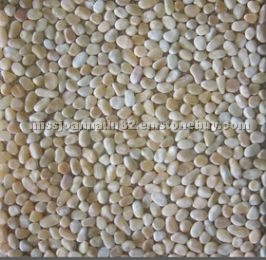 Pebble stone on net,gravel,pebble Pebble stone on net,gravel,pebble