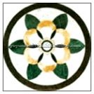 Water jet medallion