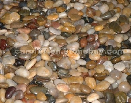Multicolored Pebble Stone