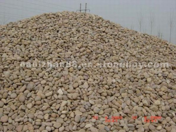 Yellow Pebble Stone Yellow Pebble Stone