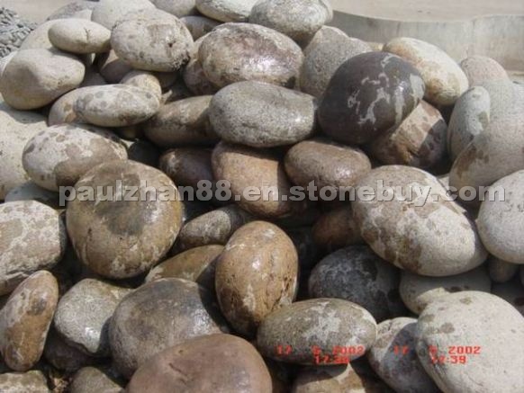 Multi Colours Pebble Stone Multi Colours Pebble Stone