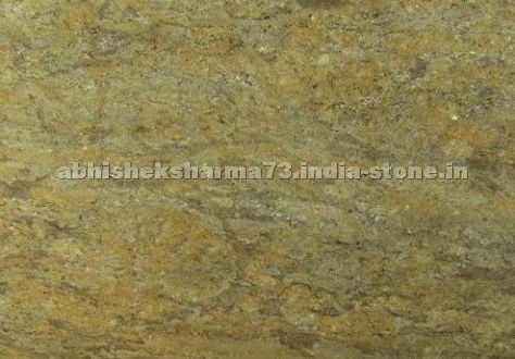 wild vyara wild vyara