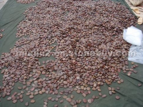 Natural red pebble stone Natural red pebble stone