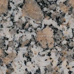 Rosa Villar Rosa Villar