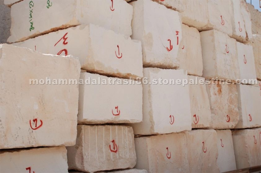 Photo to some Section of our Store 1