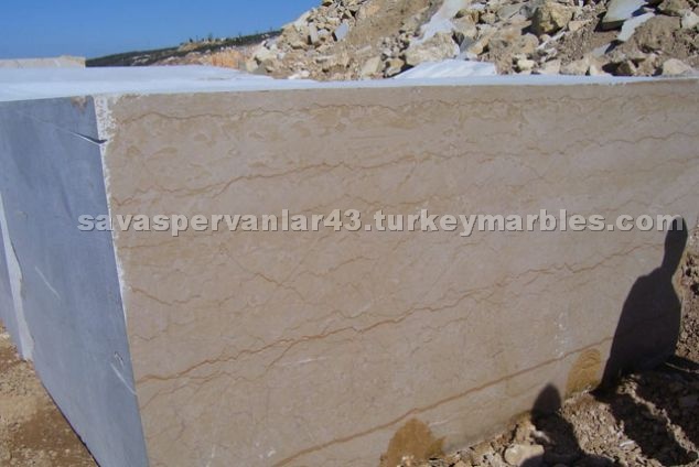 Golden Cream Turkey