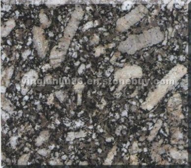 Giallo Silver Granite