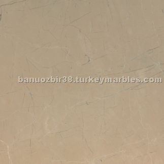 Bursa Dark Beige Marble
