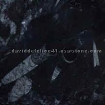 Fossil Black